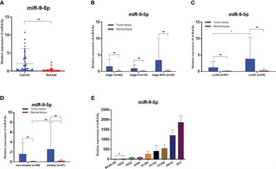 Clinical significance of miR-9-5p in NSCLC and its relationship with smoking
